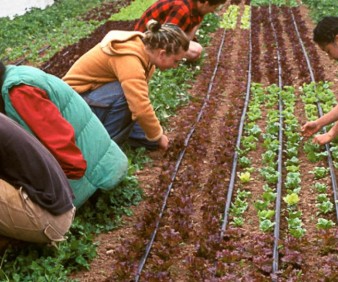 Spain agriculture tours